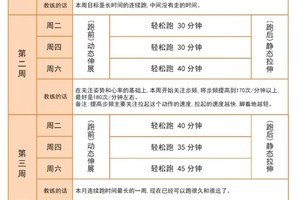 为什么统计数据能帮助教练制定更好的训练计划